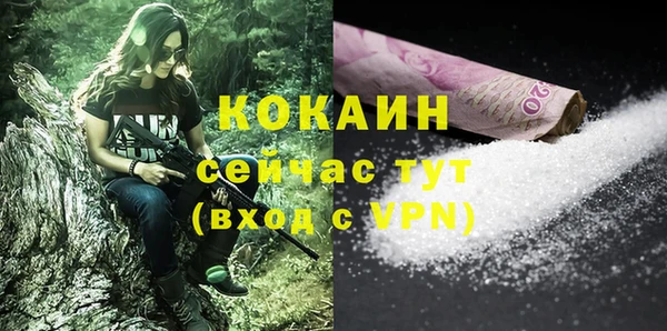 стафф Касимов