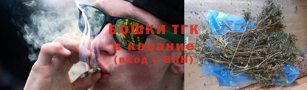 стафф Касимов