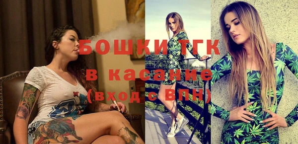 гидра Карпинск