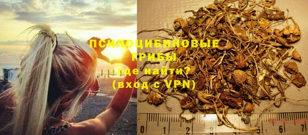 гидра Карпинск