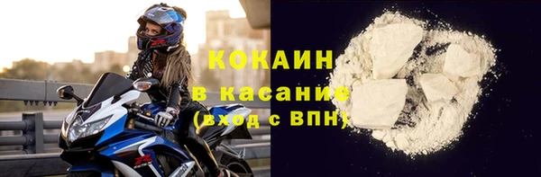 гидра Карпинск