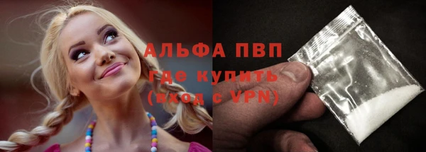 стафф Касимов