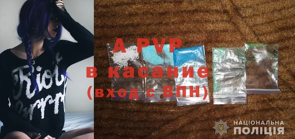 стафф Касимов