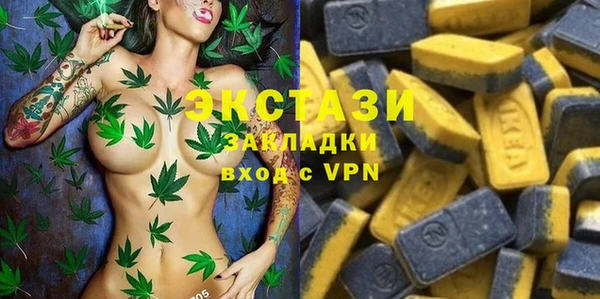 гидра Карпинск
