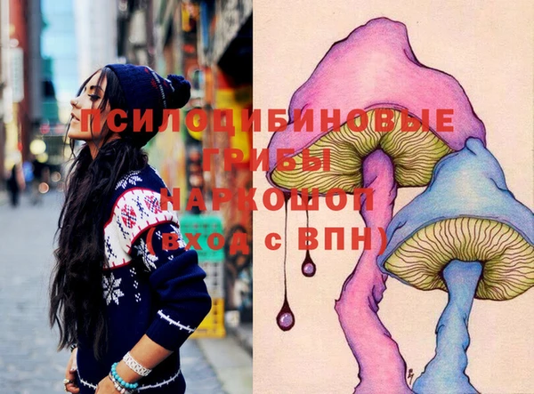 стафф Касимов