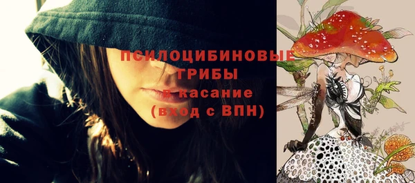 гидра Карпинск