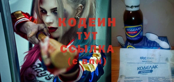 гидра Карпинск